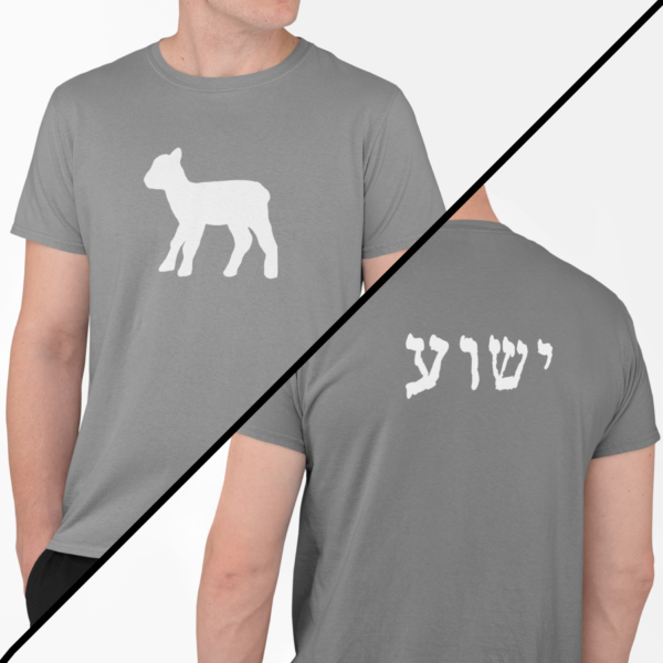 Yeshua is the lamb t-shirt short sleeve in grey with a lamb on the front an Yeshua on the back