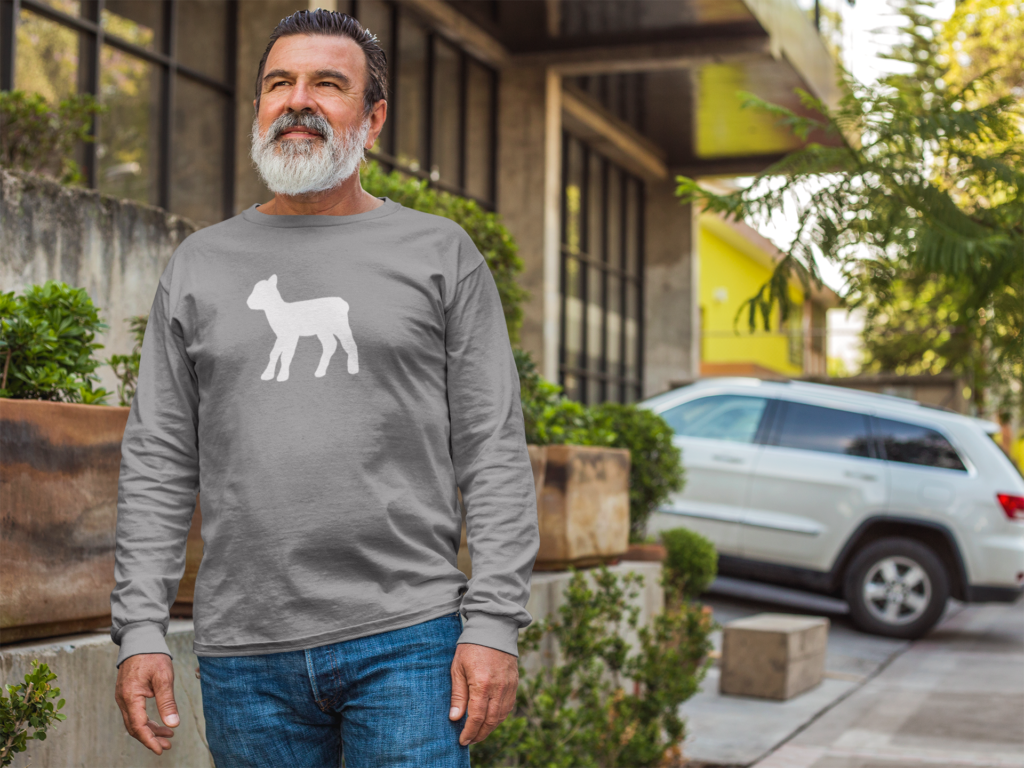 Man wearing a grey lamb shirt